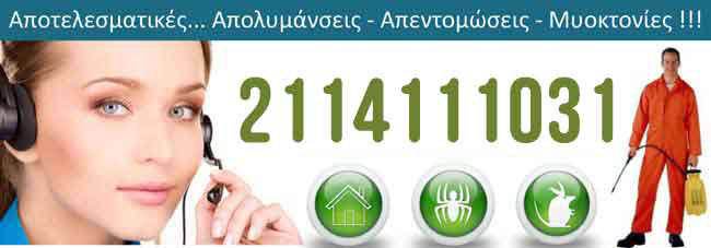 Απολυμάνσεις Γυαλί